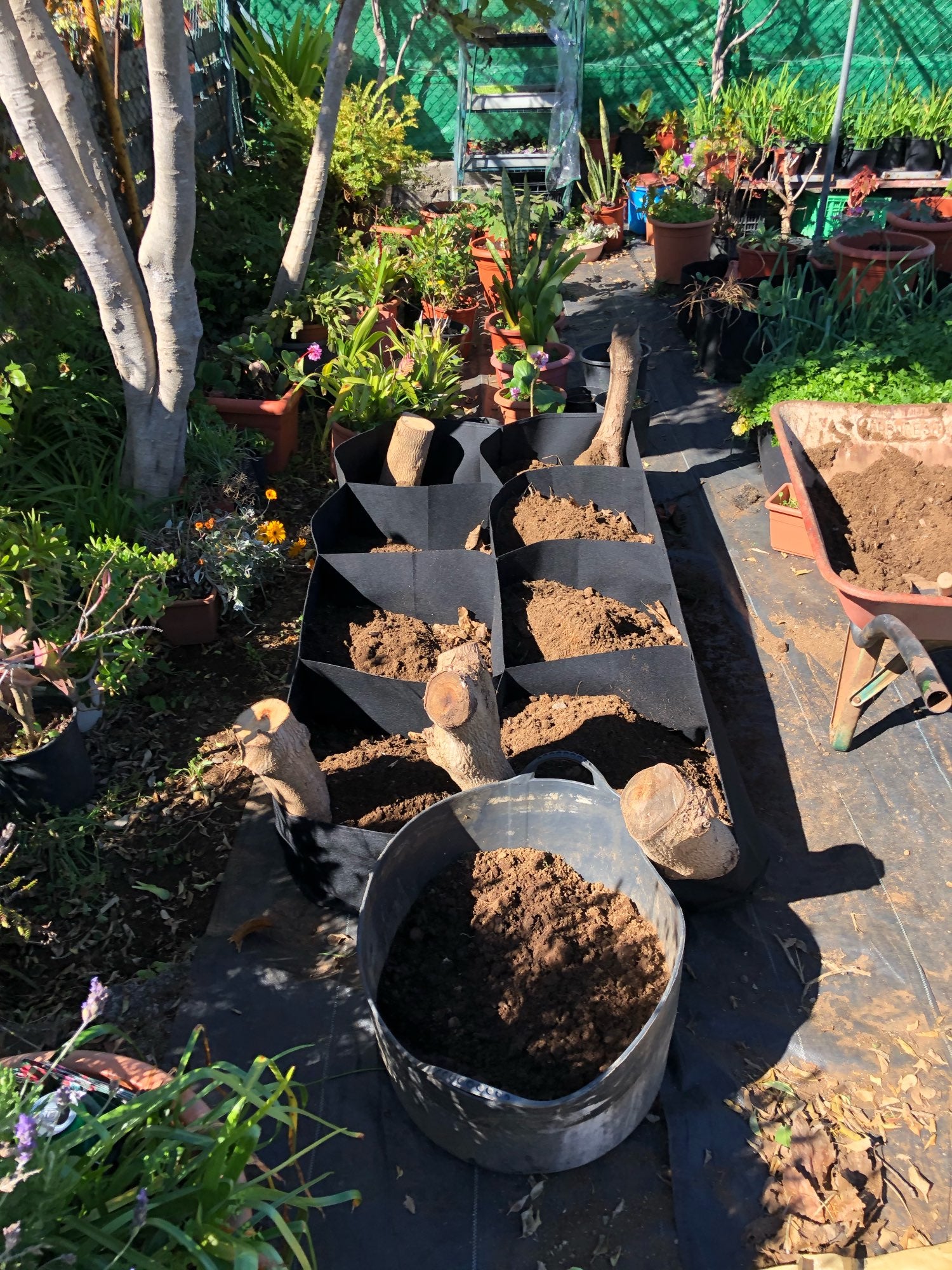 אדניות בד גמישות-לכל סוגי הצמחים